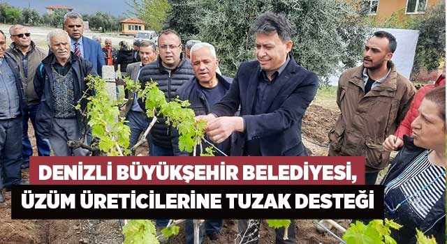 Denizli Büyükşehir Belediyesi, üzüm üreticilerine tuzak desteği