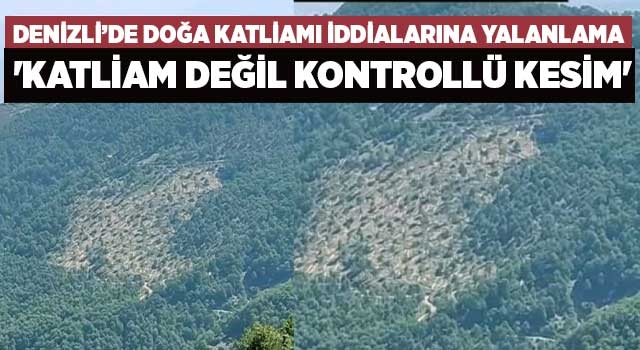 Denizli’de doğa katliamı iddialarına yalanlama 'Katliam değil kontrollü kesim'