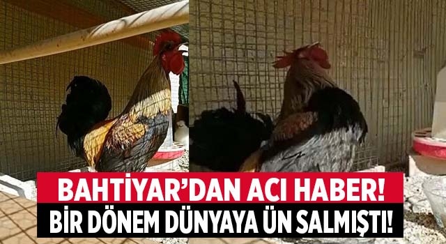 Dünyaya ün salan Denizli Horoz’u Bahtiyar’dan üzen haber