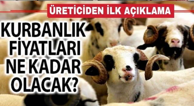 Kurbanlık fiyatları ne kadar olacak! Üreticiden açıklama!!!