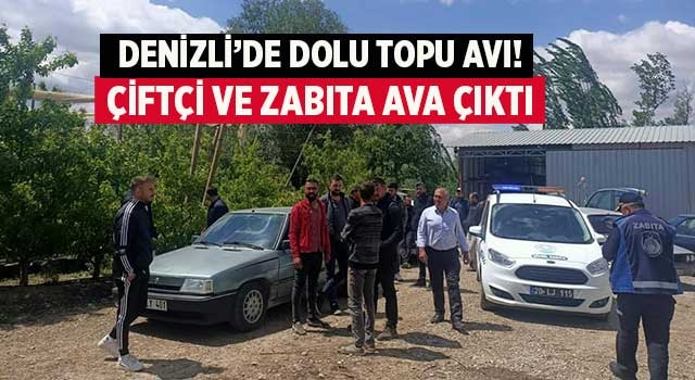 Denizli’de dolu topu avı! Çiftçi ve zabıta ava çıktı