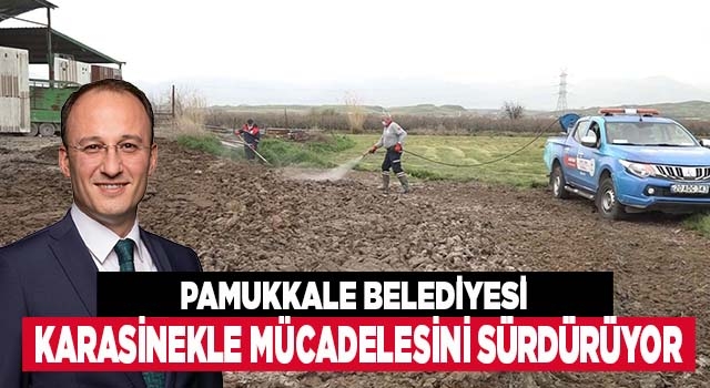 Pamukkale Belediyesi Karasinekle Mücadelesini Sürdürüyor