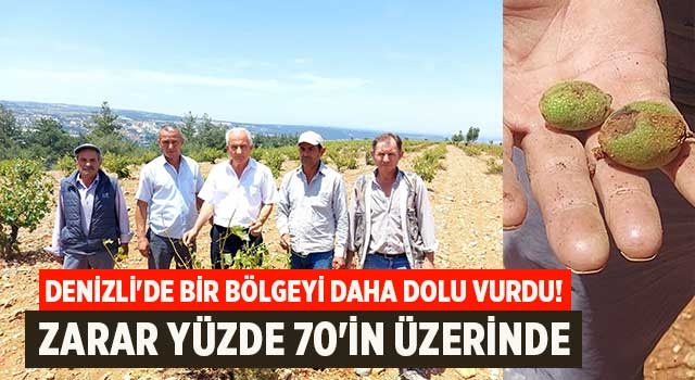 Denizli'de bir bölgeyi daha dolu vurdu! Zarar yüzde 70'in üzerinde