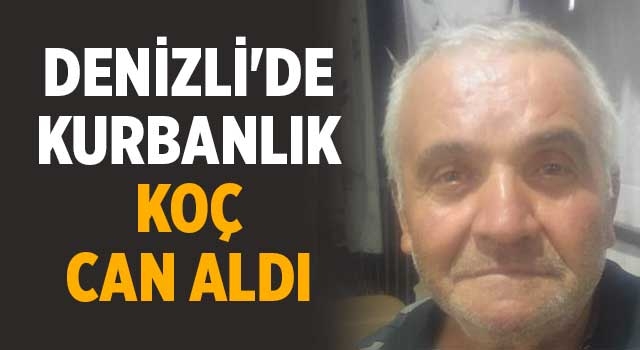 Denizli'de kurbanlık koç can aldı