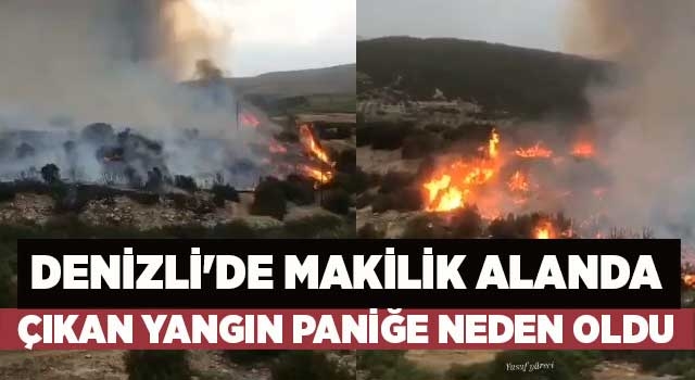 Denizli'de makilik alanda çıkan yangın paniğe neden oldu