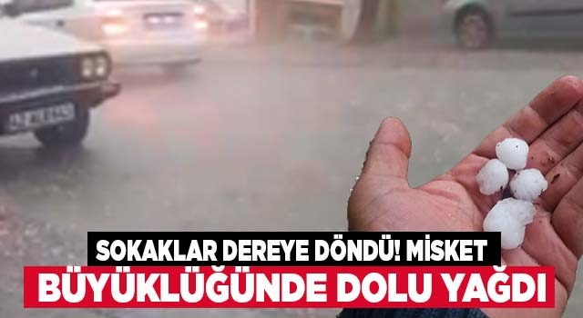 Denizli'de şiddetli sağanak ve dolu yağışı etkili oldu
