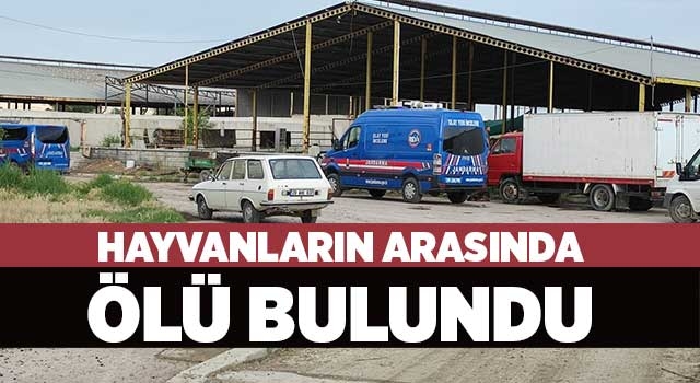 Hayvanların arasında ölü bulundu