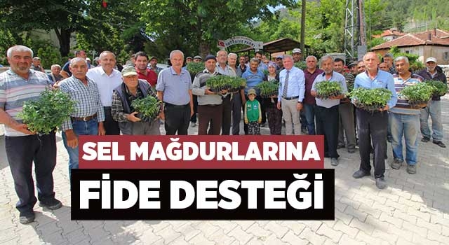 Sel Mağdurlarına Fide Desteği