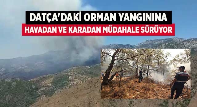 Datça'daki orman yangınına havadan ve karadan müdahale sürüyor