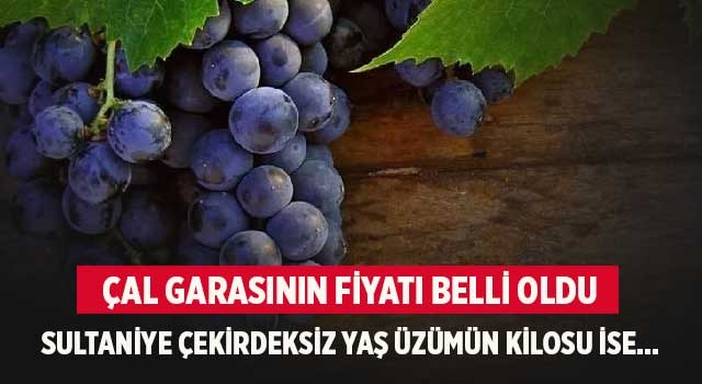 Çal garasının fiyatı belli oldu