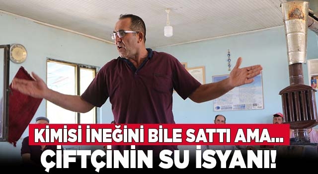 Denizli'de çiftçi su isyanı! Borcunu ödemek için ineğini satan da var...  