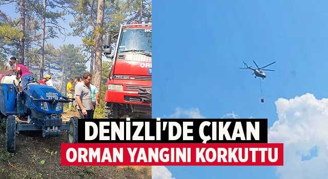 Denizli'de çıkan orman yangını korkuttu