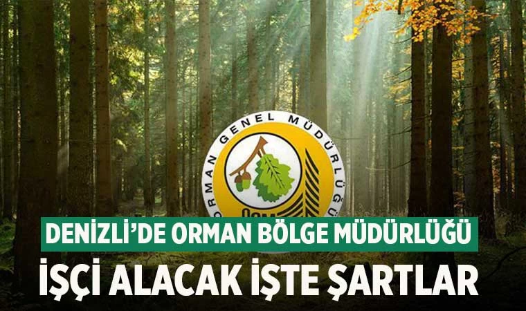 Denizli’de Orman Bölge Müdürlüğü işçi alacak işte şartlar