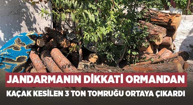Denizli'de ormanda kestiği ağaçları satmak için evine getirdi