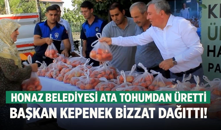 Honaz Belediyesi’nin Ata Tohumdan Ürettiği Domatesler Halka Ücretsiz Dağıtıldı