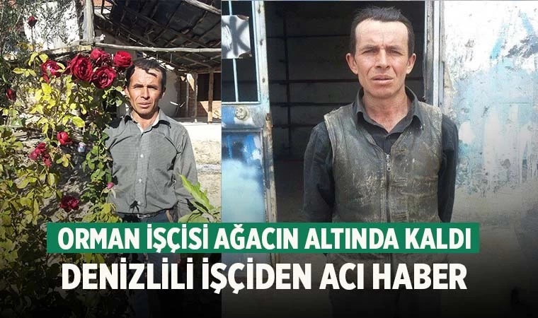 Ağacın altında kalan Denizlili işçi hayatını kaybetti