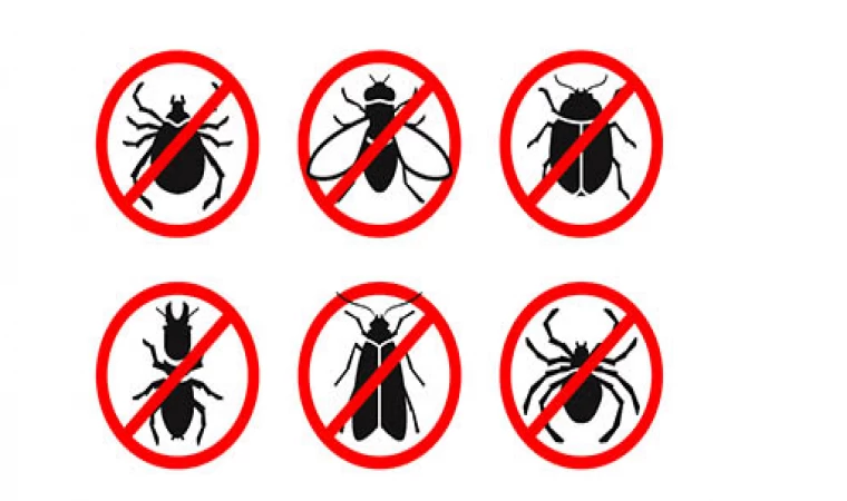 Biosin Sancaktepe Böcek İlaçlama Hizmeti