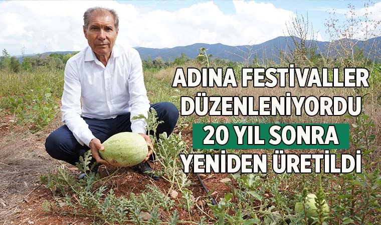 Denizli'de Beyağaç Karpuzu 20 yıl sonra yeniden üretildi