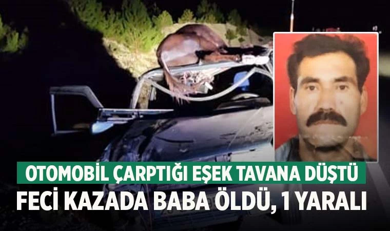 Denizli’de otomobil eşeğe çarptı 1 kişi öldü