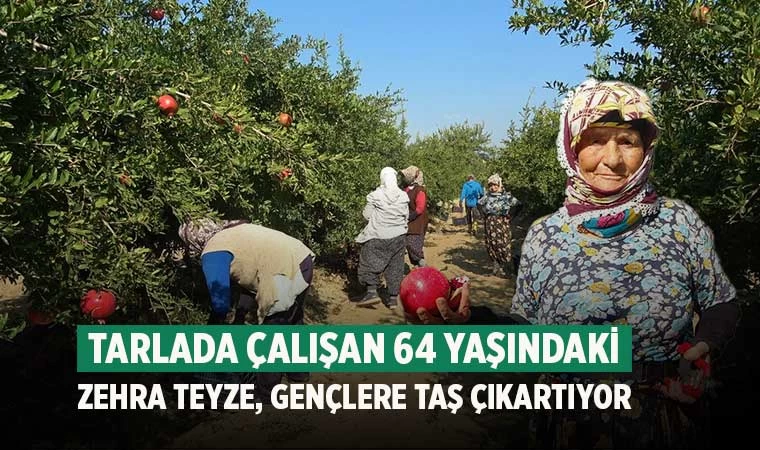 64 yaşındaki kadın çalışma azmiyle gençlere taş çıkartıyor