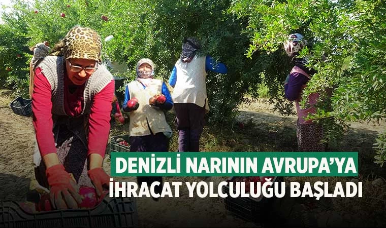 Denizli Narının fiyat ve rekoltesi üreticisinin yüzünü güldürdü