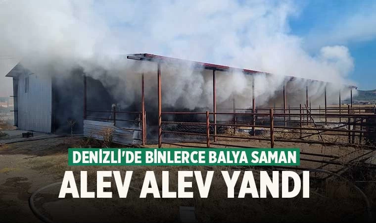 Denizli'de binlerce balya saman alev alev yandı