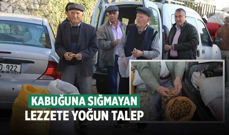 Denizli'de hasat edilen cevizler tezgahlara düşmeye başladı