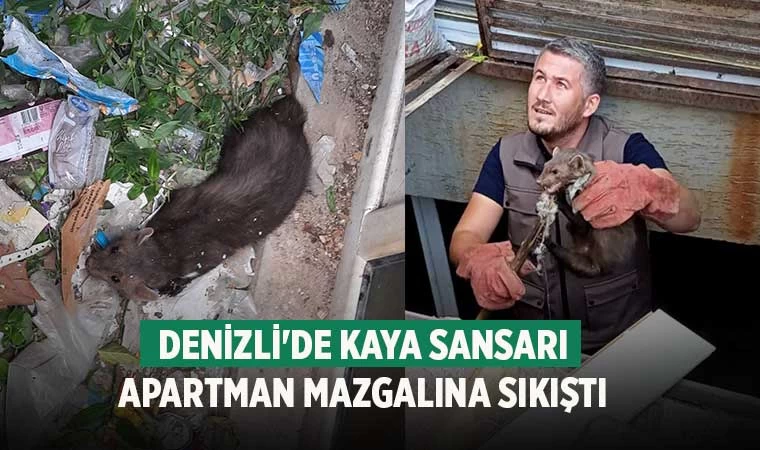 Denizli'de kaya sansarı apartman mazgalına sıkıştı