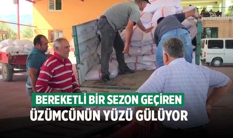 Denizli'de üzüm alım merkez sayısını yükseldi