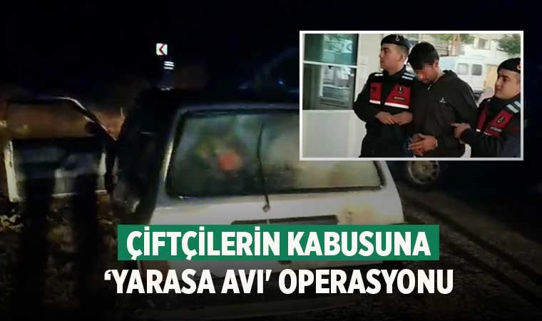Denizli'de Çiftçilerin kabusuna ‘Yarasa avı' operasyonu