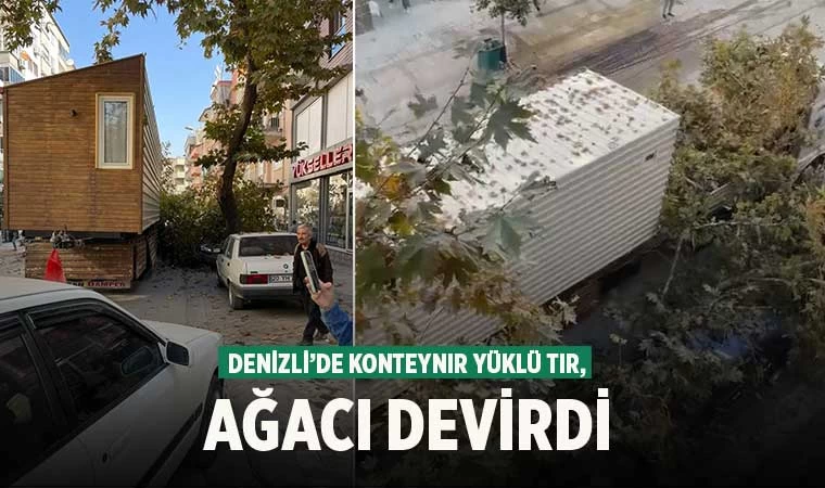 Denizli’de konteynır yüklü tır, ağaca çarptı