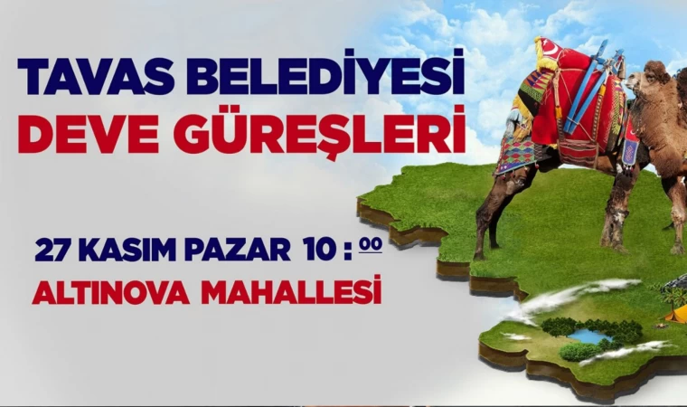 Tavas’ta Deve Güreşi Heyecanı