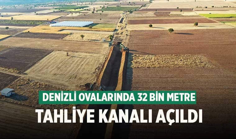 Yeşil karıncalar Denizli’deki çalışmalarını sürdürüyor