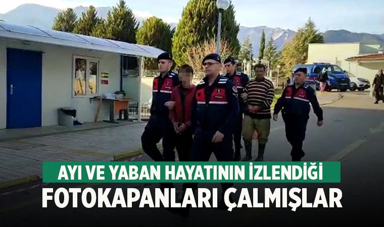Denizli'de yaban hayatının izlendiği foto kapanları çalan hırsızlar yakalandı