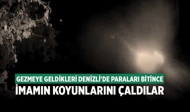 Gezmeye geldikleri Denizli'de paraları bitince imamın koyunlarını çaldılar