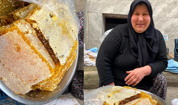 Alaşehir’de bal fiyatları arttı, Balın fiyatı belli oldu