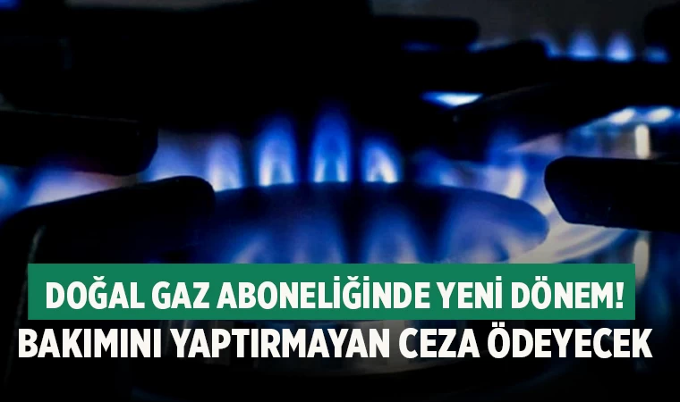 Doğal gazda sayaç muayenesi zorunlu oldu