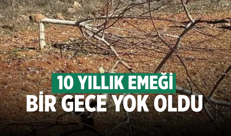 10 yıllık emeği bir gecede gitti
