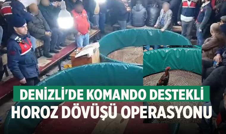 Denizli'de komando destekli horoz dövüşü operasyonu