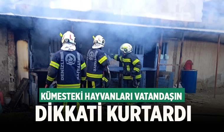 Kümesteki hayvanları vatandaşın dikkati kurtardı