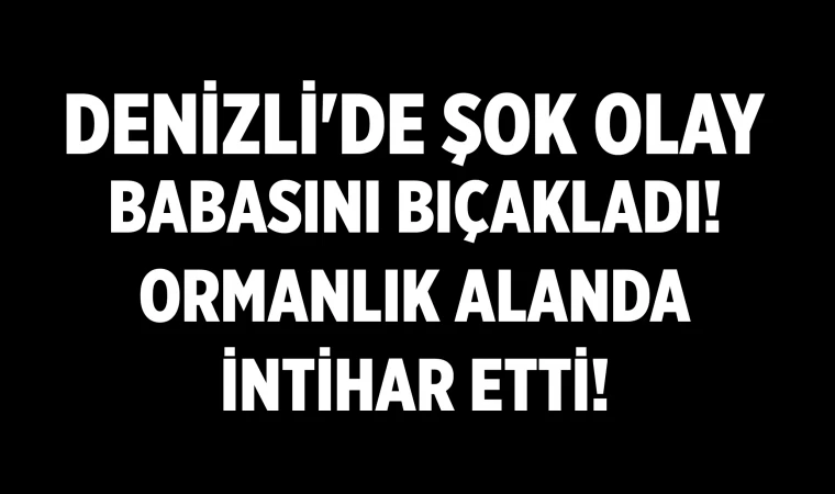 Babasını bıçaklayan genç intihar ederek yaşamına son verdi