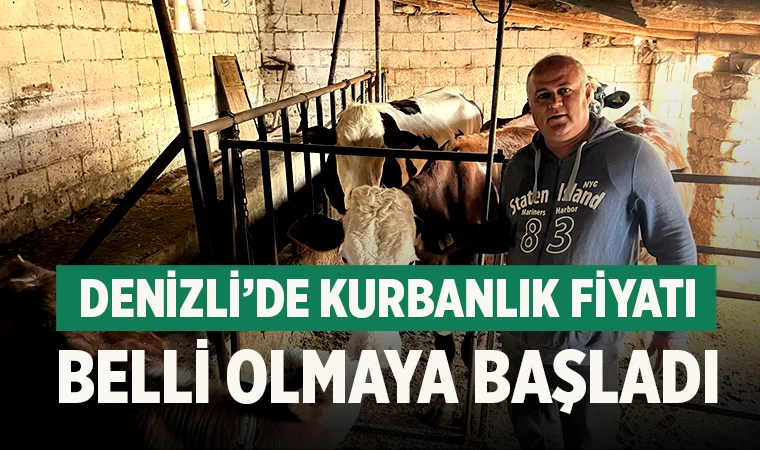 Denizli’de kurbanlık fiyatı belli olmaya başladı