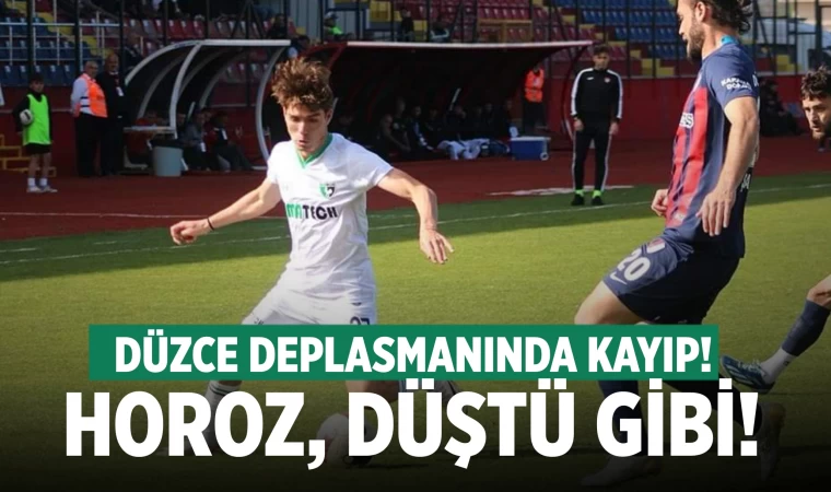 Denizlispor deplasmanda Düzcespor'a mağlup oldu