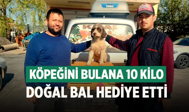 Köpeğini bulana 10 kilo doğal bal hediye etti
