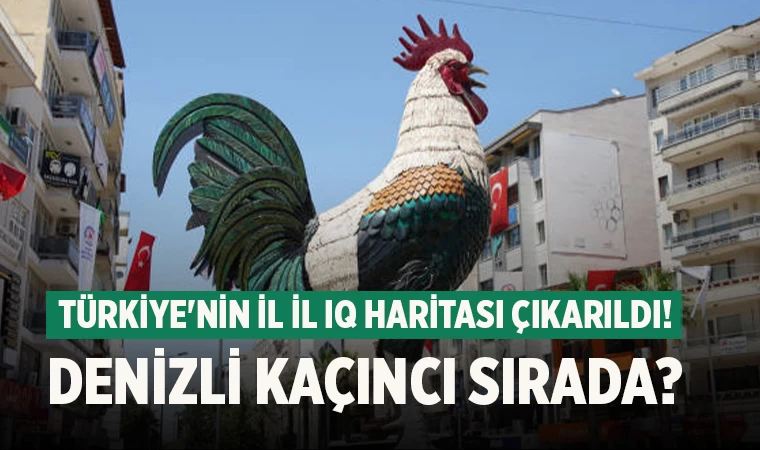 Türkiye'nin İl il IQ haritası çıkarıldı! Denizli kaçıncı sırada?