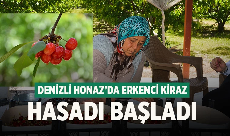 Denizli Honaz’da erkenci kiraz hasadı başladı