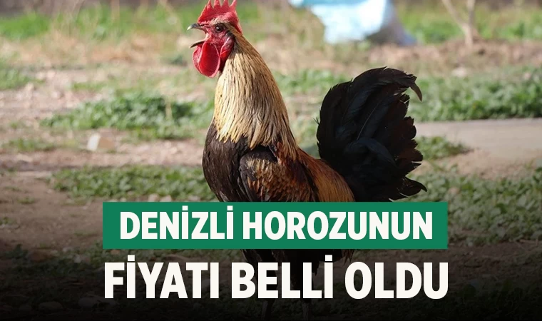 Denizli Horozunun fiyatı belli oldu