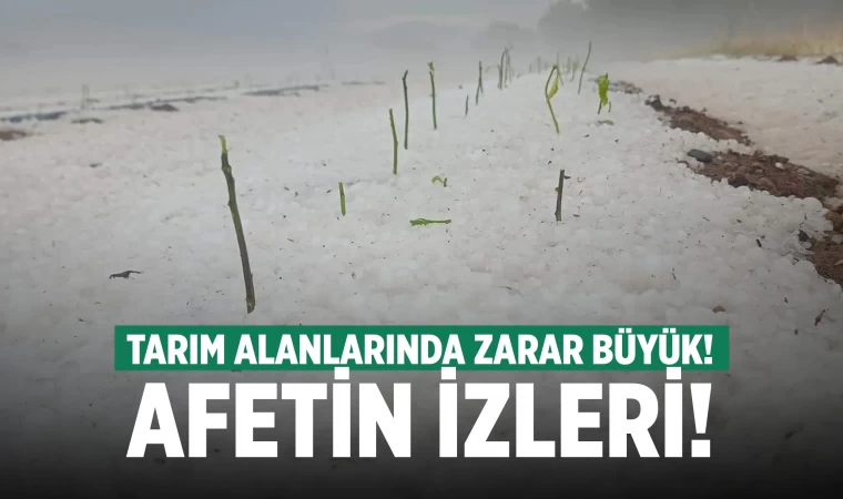 Denizli'de tarım alanlarını dolu vurdu! Zarar büyük