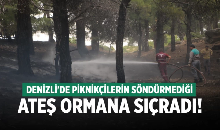 Piknik ateşinden çıkan yangın ormana sıçradı