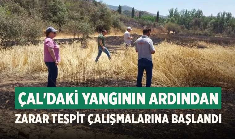 Çal'daki yangının ardından zarar tespit çalışmalarına başlandı